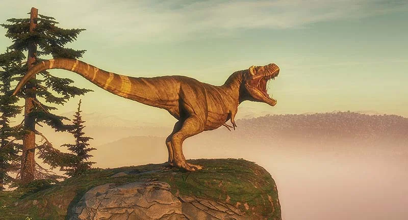 T rex on top of a mountain rock